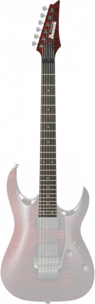IBANEZ Neck - for RGA420Z PRT(2010model) (1NK00A0041)