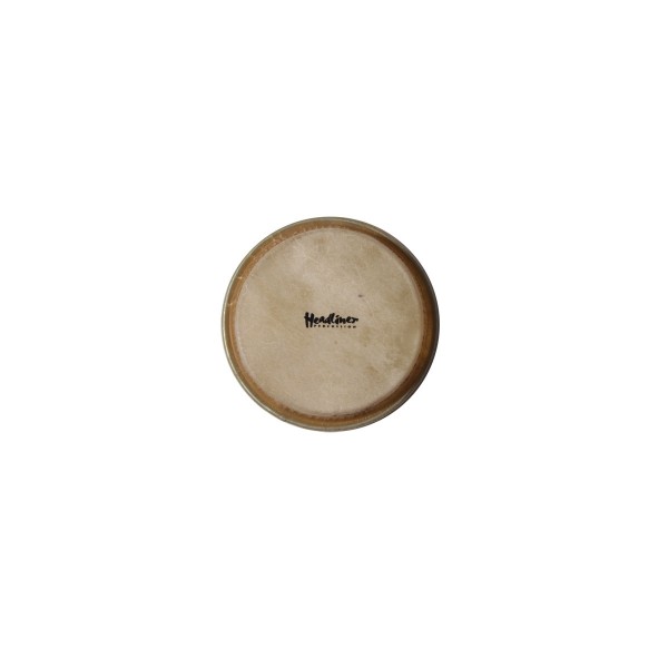 MEINL Percussion head for fiberglas HFDD2 dancing drum - 8" (HHEADHFDD2)