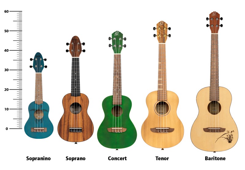 Find the best suitable ukulele – An overview of the different