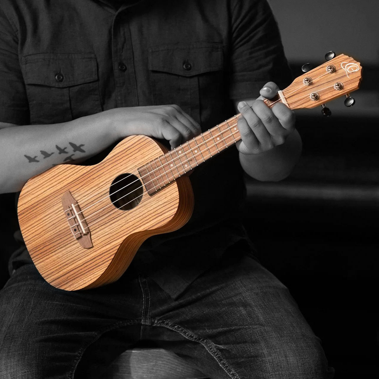 Find the best suitable ukulele – An overview of the different sizes