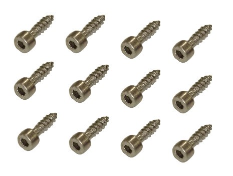 Ibanez bridge mounting screw für Tight End Bridge - 12 Stück (2GBX5BA003)