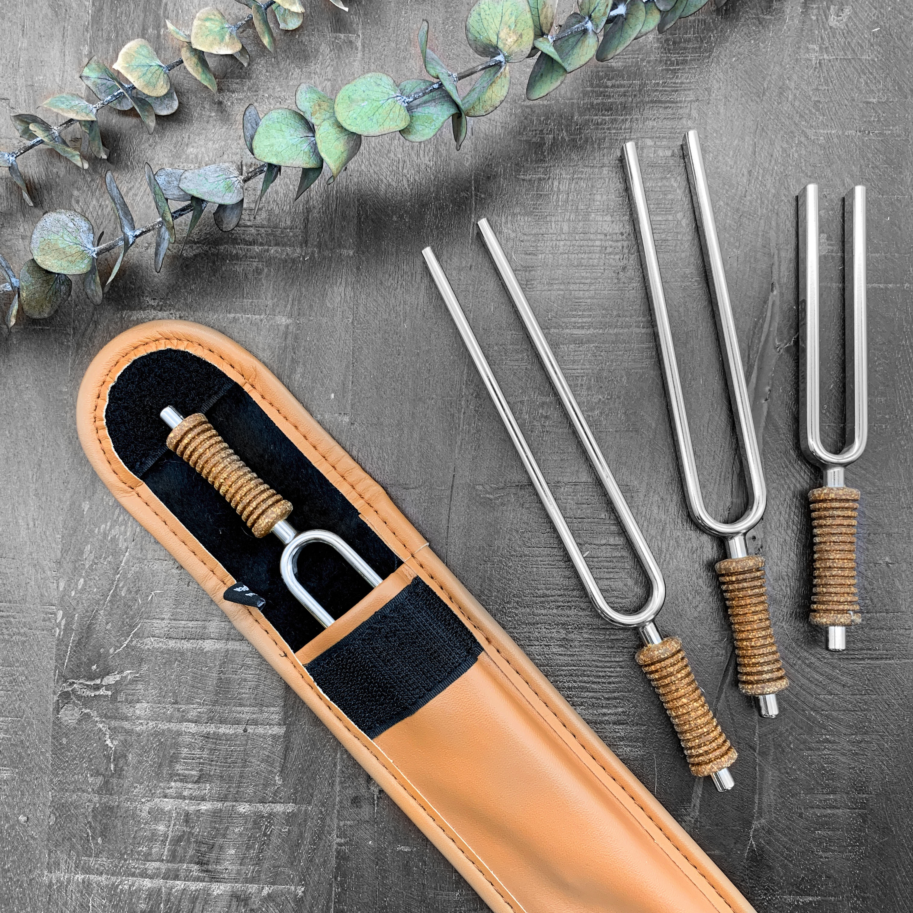 Tuning Fork Therapy – A quick guide for beginners