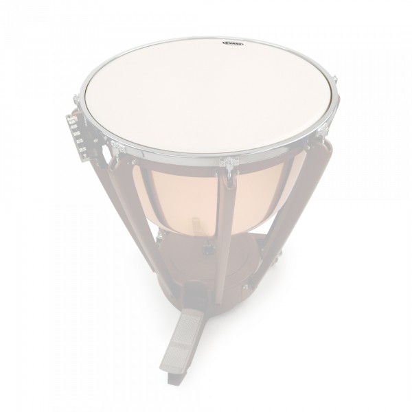 EVANS Timpani Orchestral - 31 1/2" (ET3150)
