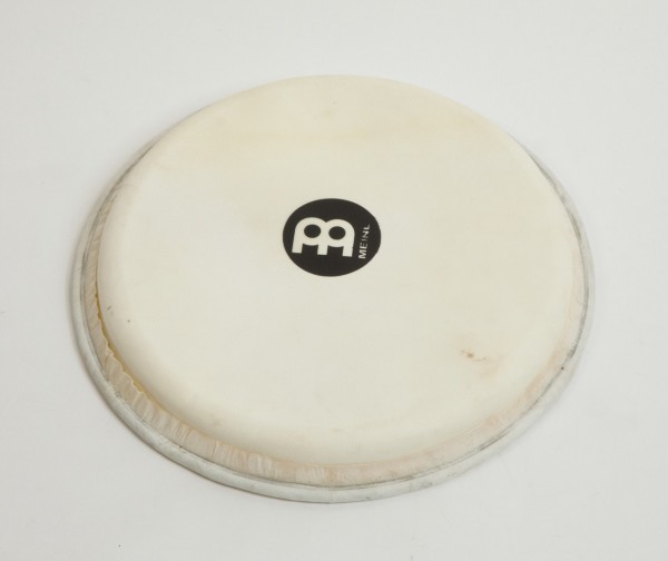 MEINL Percussion Ziegenfell - 12" für Djembe FMDJ-L (HEAD-93)