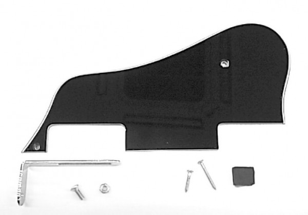 IBANEZ Pickguard for AGS73FM - ABS with chrome bracket & Screws (4PG12A0082)
