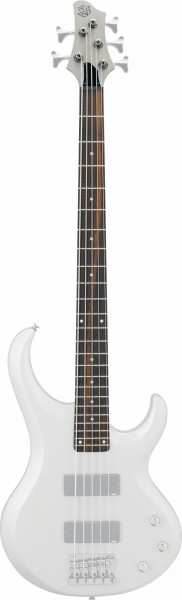 IBANEZ Neck - for BTB205-TYF bass (1NK27C0014)