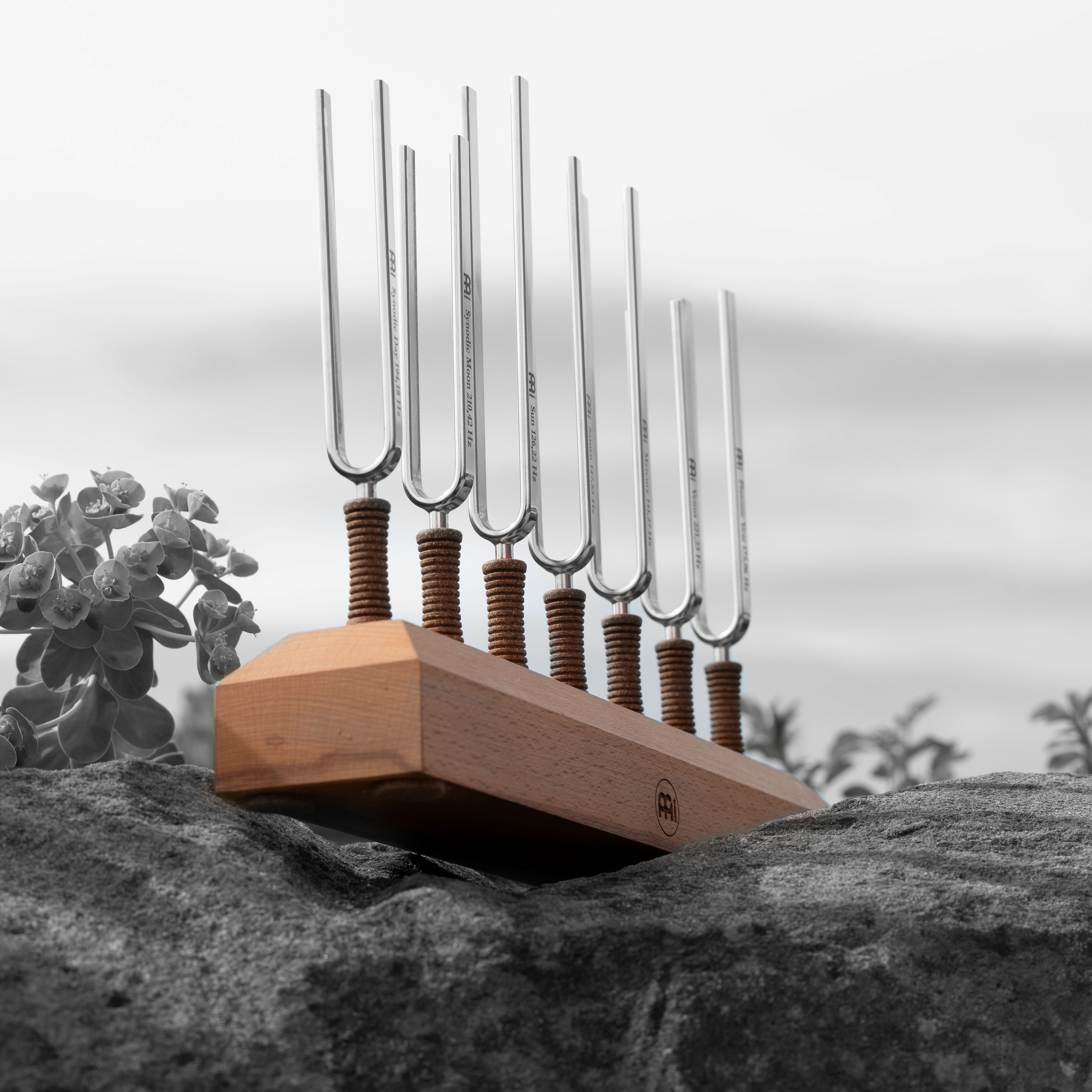 Bring your own body into harmony with the healing vibrations of Tuning Forks