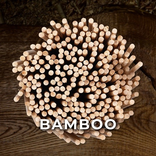 media/image/Bamboo_Instafeed.jpg