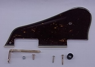 IBANEZ Schlagbrett - AS73G (4PG12A0081)