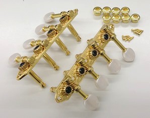 IBANEZ Machinehead set - gold for Mandolines (5AMH95N)