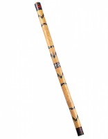 MEINL Percussion Wood Didgeridoo - 47" (DDG1-BR) MEINL Percussion Wood Didgeridoo - 47" (DDG1-BR)