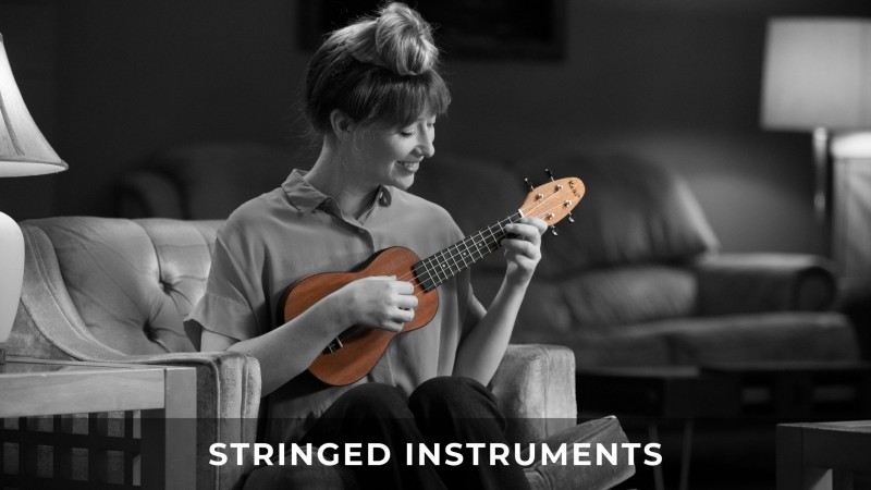 Saiteninstrumente