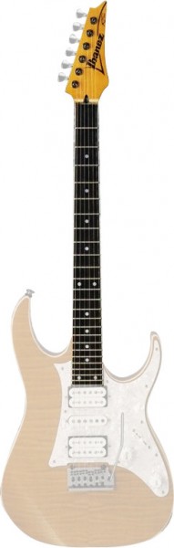 Ibanez neck for RT650GF (1NK-RT650GF)