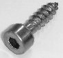 IBANEZ bridge mounting screw for Tight End Bridge - 1pc (2GBX5BA003-PC)