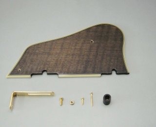 IBANEZ Sycamore Schlagbrett - für AF95-TK (2006/10-2009/10) (4PG1SM2TK)