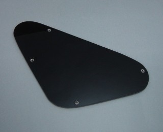 IBANEZ Cavity Plate - black for DN series (4PT12A0009)