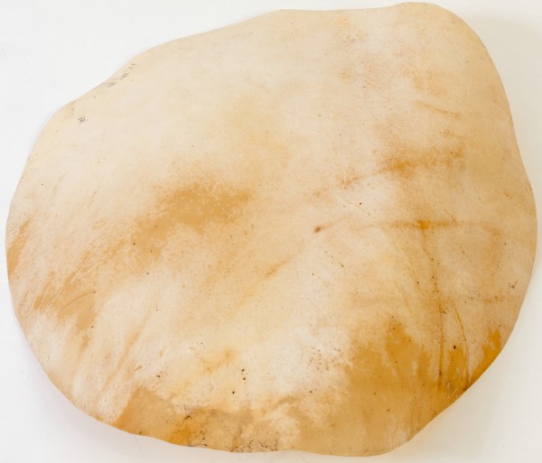 MEINL Percussion Ziegenfell - für Djembefola (HEAD-116)