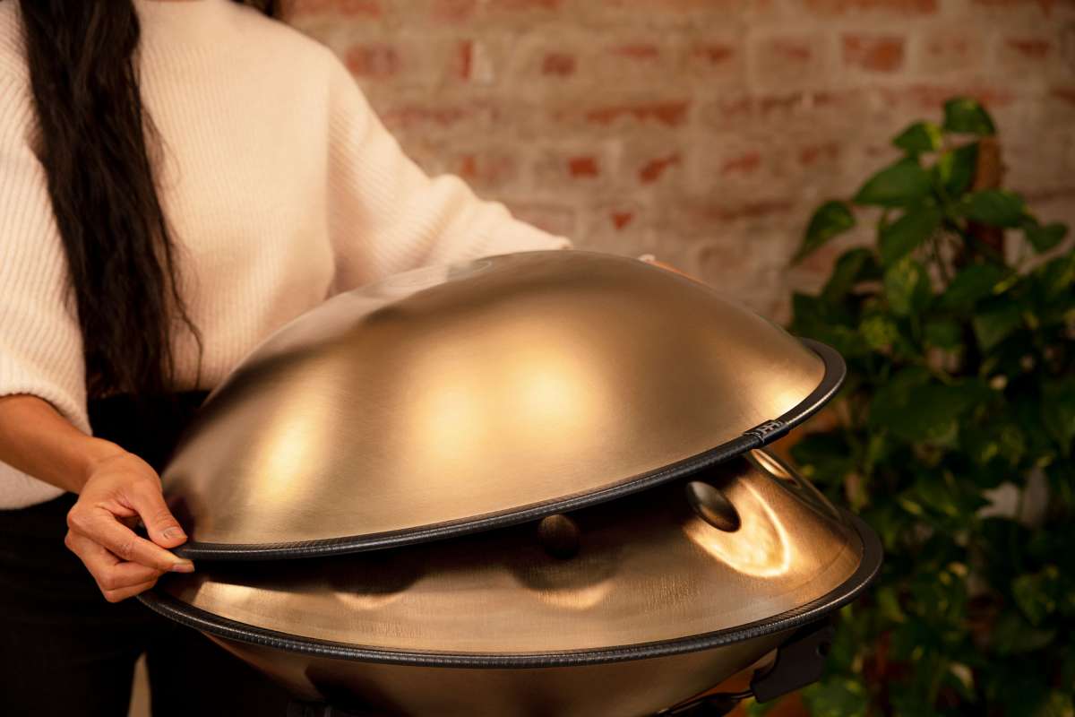 Meinl Sonic Energy Sensory Handpan Stainless Steel D Kurd 10
