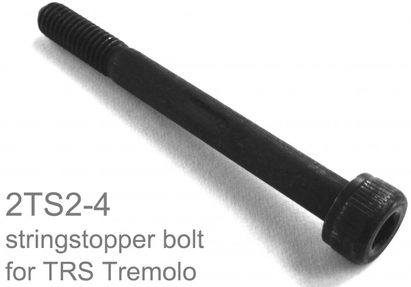 IBANEZ String Stopper Bolt - black 1pc (2TS2-4)