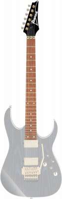 Ibanez RG ネックのみ IBANEZ Neck for RG421-02 - 400MM/24F/43MM WIDTH (1NK1PA0386