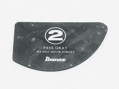 IBANEZ Control Plate - black for PGB2T (4PT27C0015)