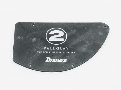 IBANEZ controle plate in matt schwarz für PGB2T (4PT27C0015)